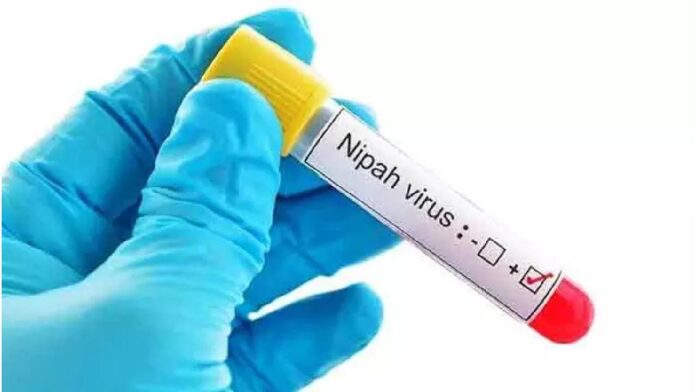 Nipah Virus: కేరళలో నిపా కలకలం.. 14 ఏళ్ల బాలుడికి పాజిటివ్..