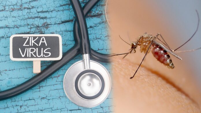 Zika Virus : గర్భధారణ సమయంలో జికా వైరస్‌పై అవగాహన చాలా అవసరం : ఫెర్నాండెజ్ హాస్పిటల్